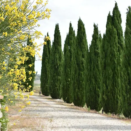 Podere Le Volpaie, Volterra, Tuscany Holiday home *